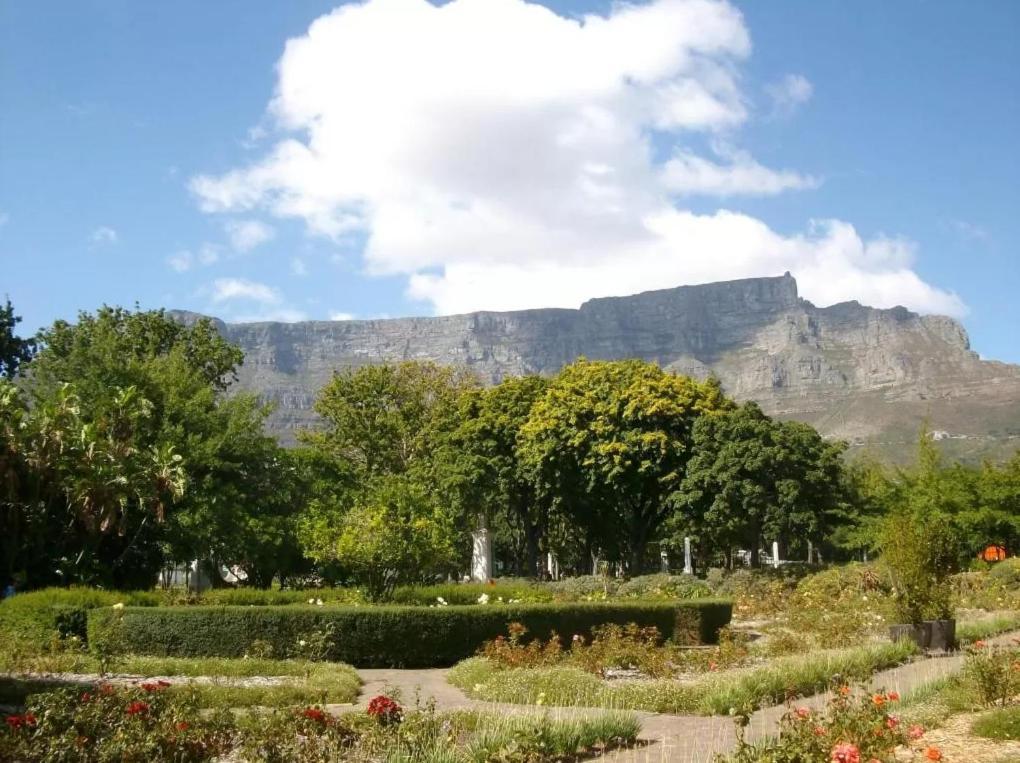 Taj Hotel Cape Town - Luxury 5 Star Suites - Very Spacious With Kitchenette, Lions Head Views מראה חיצוני תמונה